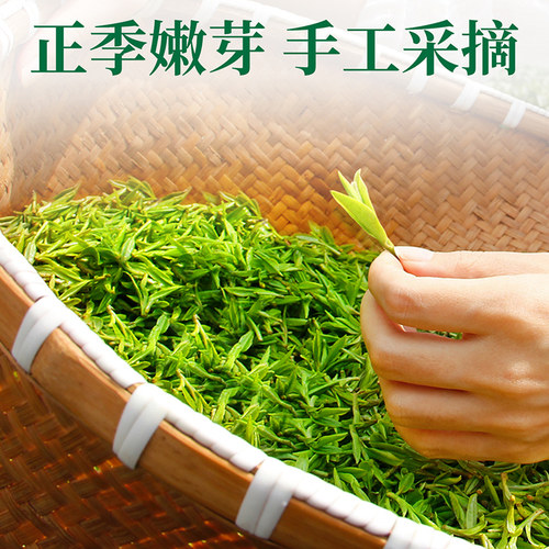 忆江南茶叶特产绿茶碧螺春一级香散装嫩芽PVC盒装200g待客茶自饮 - 图0