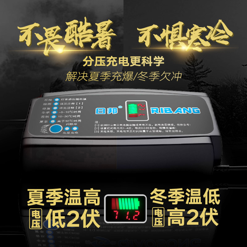 电动车电瓶充电器60V20AH48V20AH64V20A72V20A速派奇依莱达英克莱 - 图0