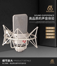 BabyBottle 66 SL-103 Large vibrating membrane heart-shaped capacitor recording microphone live microphone computer