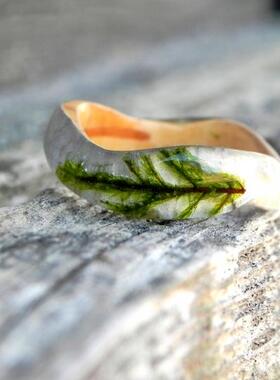 白桦树皮苔藓地衣森林轻木环戒指