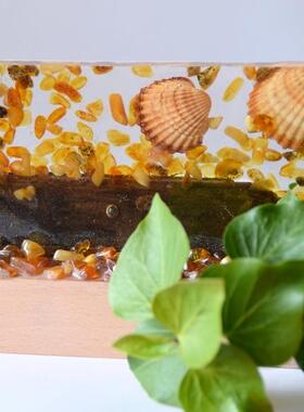 波罗海琥珀木材贝壳树脂装饰摆件