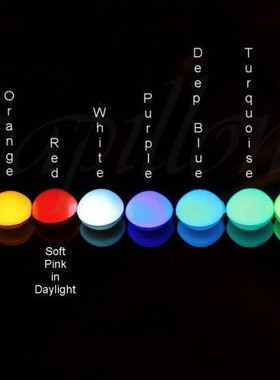 seashell㊣加拿大蓝绿色贝壳