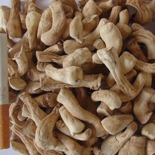 西峡双剪香菇脚干货5斤装产地直发干净无沙香菇根冬菇脚散装商用 - 图2