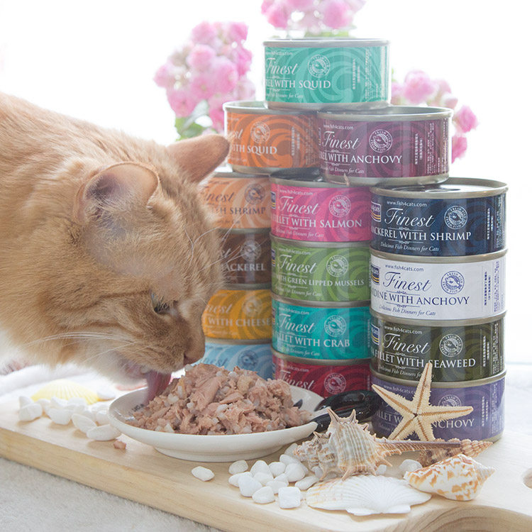 仁可宠物fish4cats海洋猫罐头70g进口猫罐10罐营养湿粮成幼猫零食 - 图0