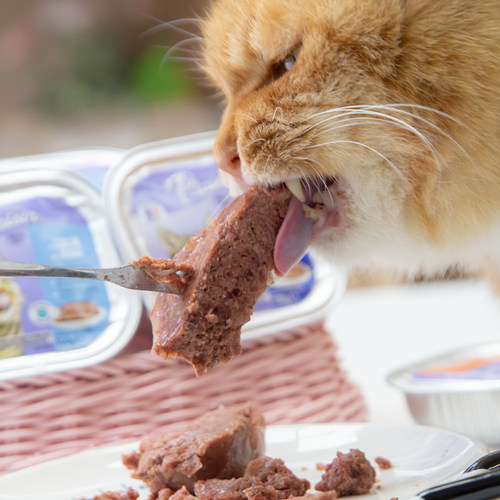 仁可宠物普莱喜猫罐头进口无谷主食罐成猫营养湿粮肉酱餐盒100g-图1