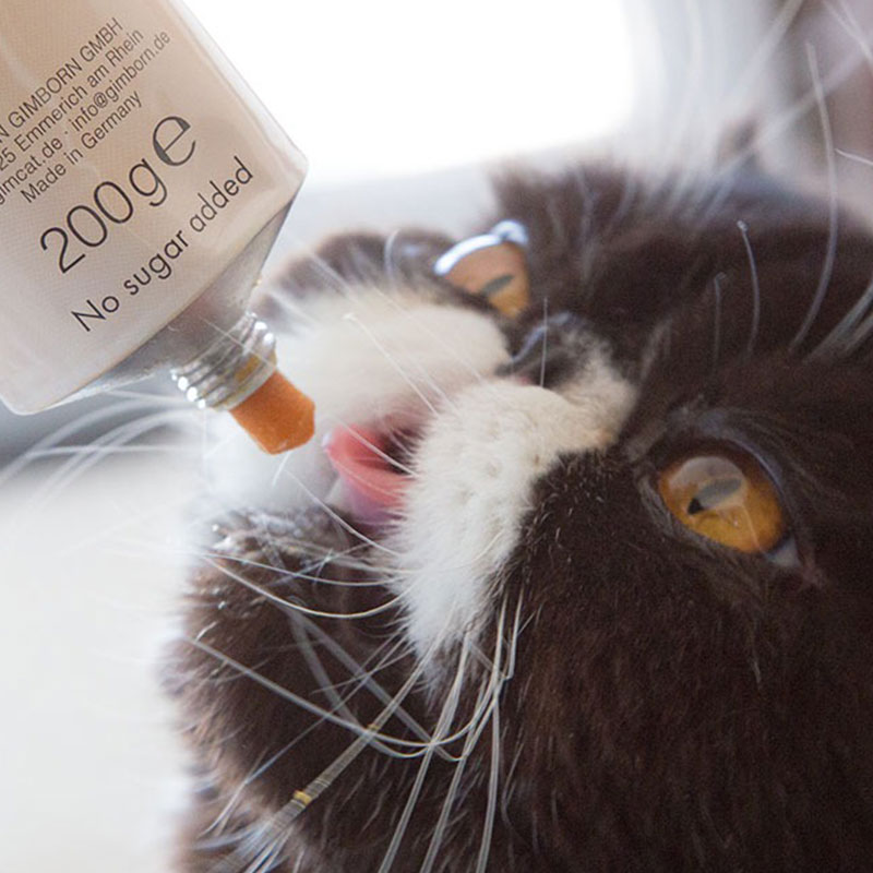 仁可宠物德国进口俊宝麦芽化毛膏猫咪吐毛球排毛俊喵营养膏牛磺酸,淘宝优惠券,粉丝福利购,淘宝优惠卷