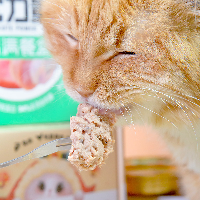 仁可宠物 它力量满满餐盒全价主食猫罐头成幼猫补水湿粮肉泥罐80g,淘宝优惠券,粉丝福利购,淘宝优惠卷