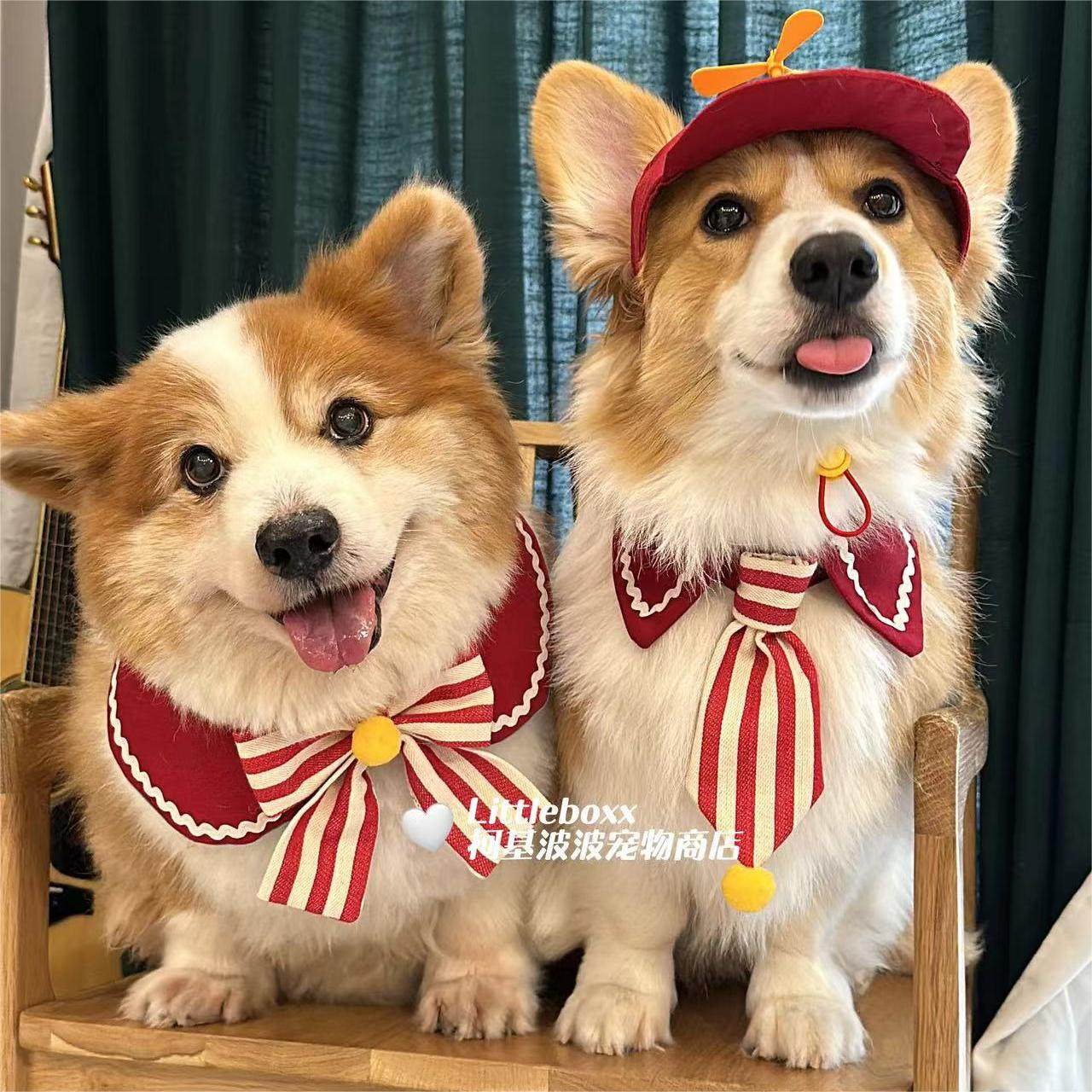 Liittleboxx柯基波波红白条毛球蝴蝶结围嘴口水巾小中大型犬围兜,淘宝优惠券,粉丝福利购,淘宝优惠卷