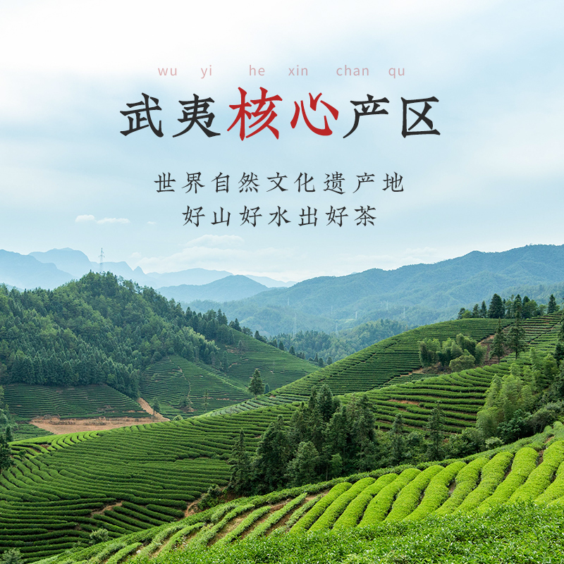 华祥苑茶叶 星时光武夷山大红袍岩茶乌龙茶 送礼礼盒装232g - 图0