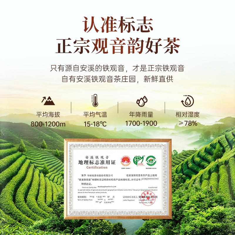  华祥苑茶叶铁观音