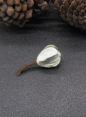 个性简易小花朵胸针胸花