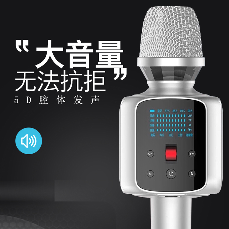 权盟炫声麦克风靓声麦R1话筒音响一体手机直播声卡KTV全民K歌家用 - 图1