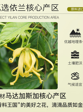 马达加斯加依兰单方精油依兰精油