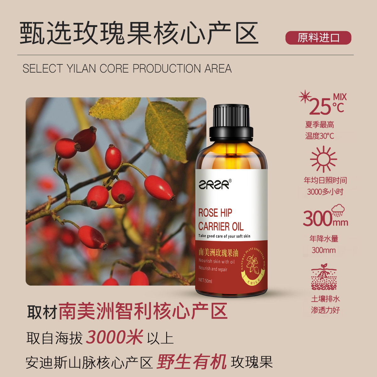 ZRZR南美洲玫瑰果油50ml 面部精华油脸部护肤身体按摩基础油修护 - 图1