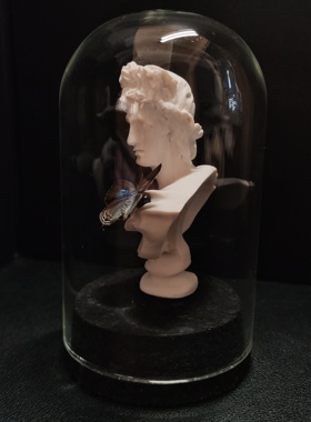 礼物标本玻璃罩摆件艺术