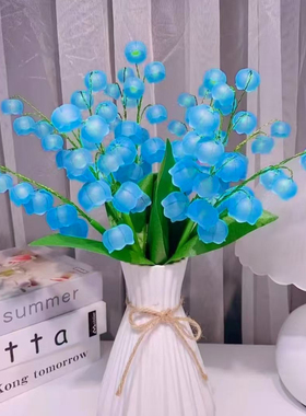 【送带绳防摔花瓶】手工diy磨砂香水铃兰花材料包制作新年摆件