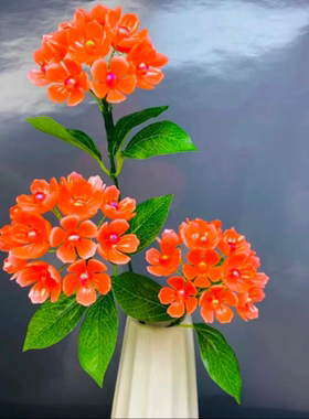 【送同款花瓶】中华木绣球花材料包居家摆件送礼diy