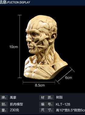 美术绘画素描骷髅头树脂工艺品