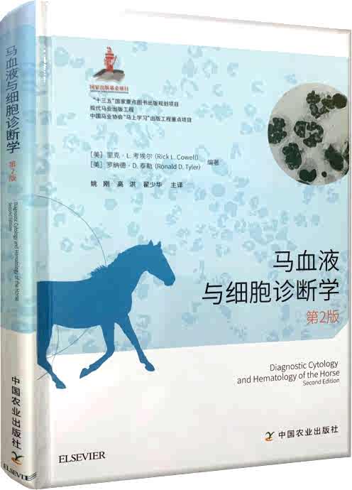 血马 新人首单立减十元 22年2月 淘宝海外