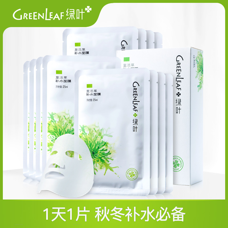 綠葉復活草深層補水保溼面膜收毛孔控油含精華液麵膜貼12片