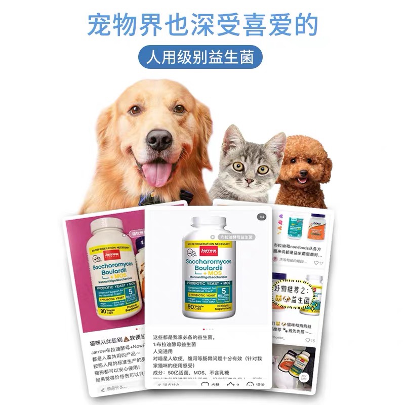 美国Jarrow Formulas布拉迪酵母益生菌猫狗软便克星宠物肠胃调理 - 图2