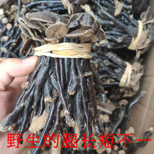 大别山竹灵芝250g克林芝灵芝片天然纯紫芝整枝带柄散装荒野灵芝 - 图0