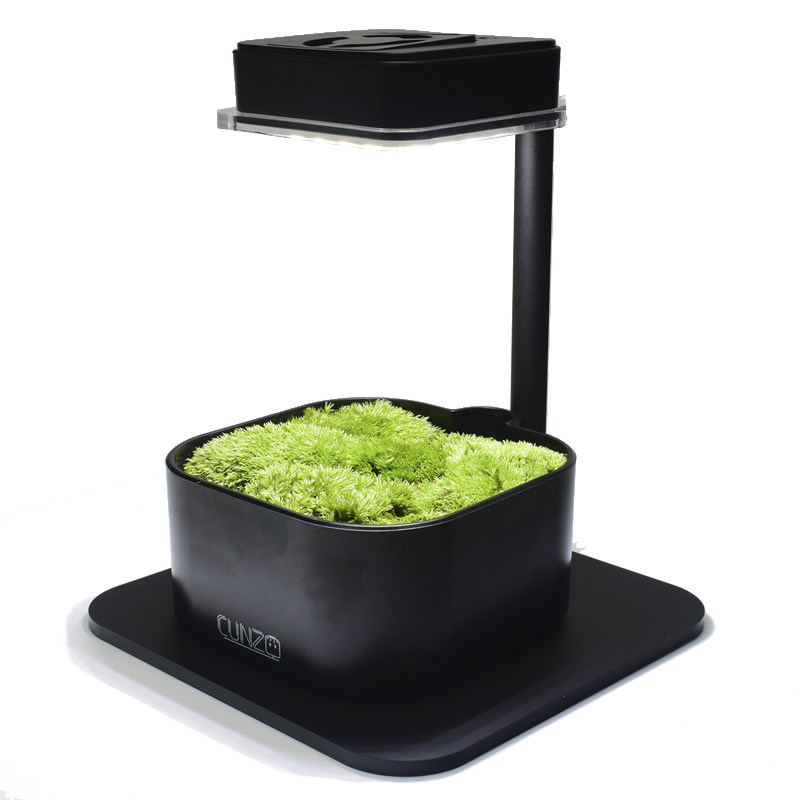 迷你植物生长灯/盆景微景观补光LED灯/绿植多肉发色通风降温5V,淘宝优惠券,粉丝福利购,淘宝优惠卷