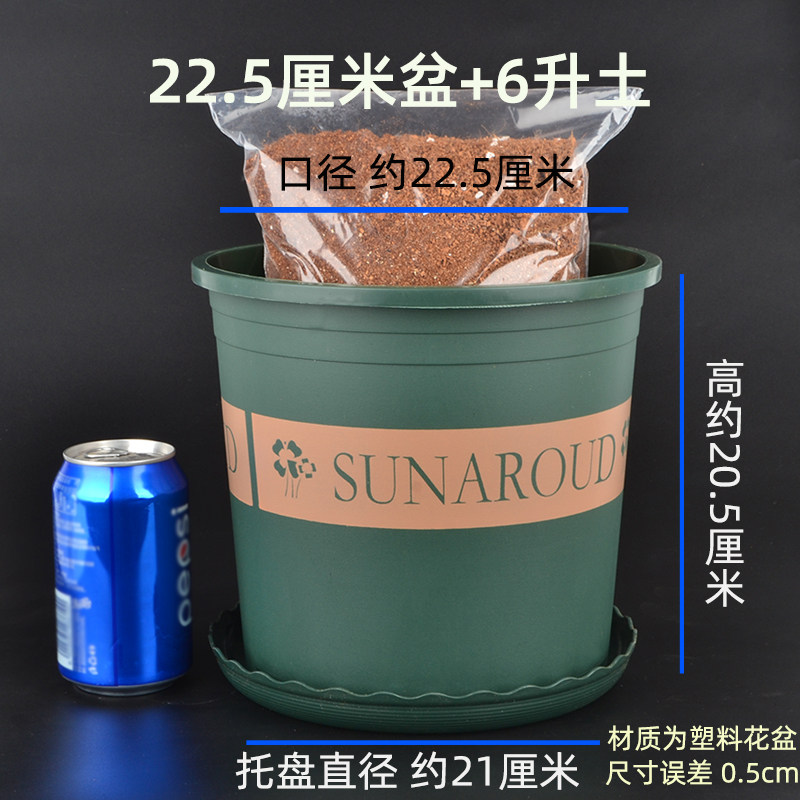 球根专用盆带土营养土塑料种植花盆郁金香风信子百合花朱顶红水仙
