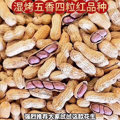 连城红衣花生 湿烤五香 蒜香 水煮 原味炒 龙岩闽西特产 脆 带壳 - 图0