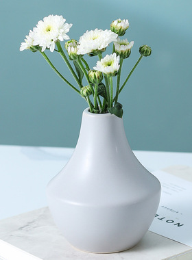 ins北欧简约条纹陶瓷花瓶创意干花鲜花插花器家居装饰摆件陶瓷瓶