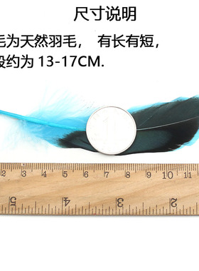 继承者们捕梦网头饰耳环挂件鹅毛