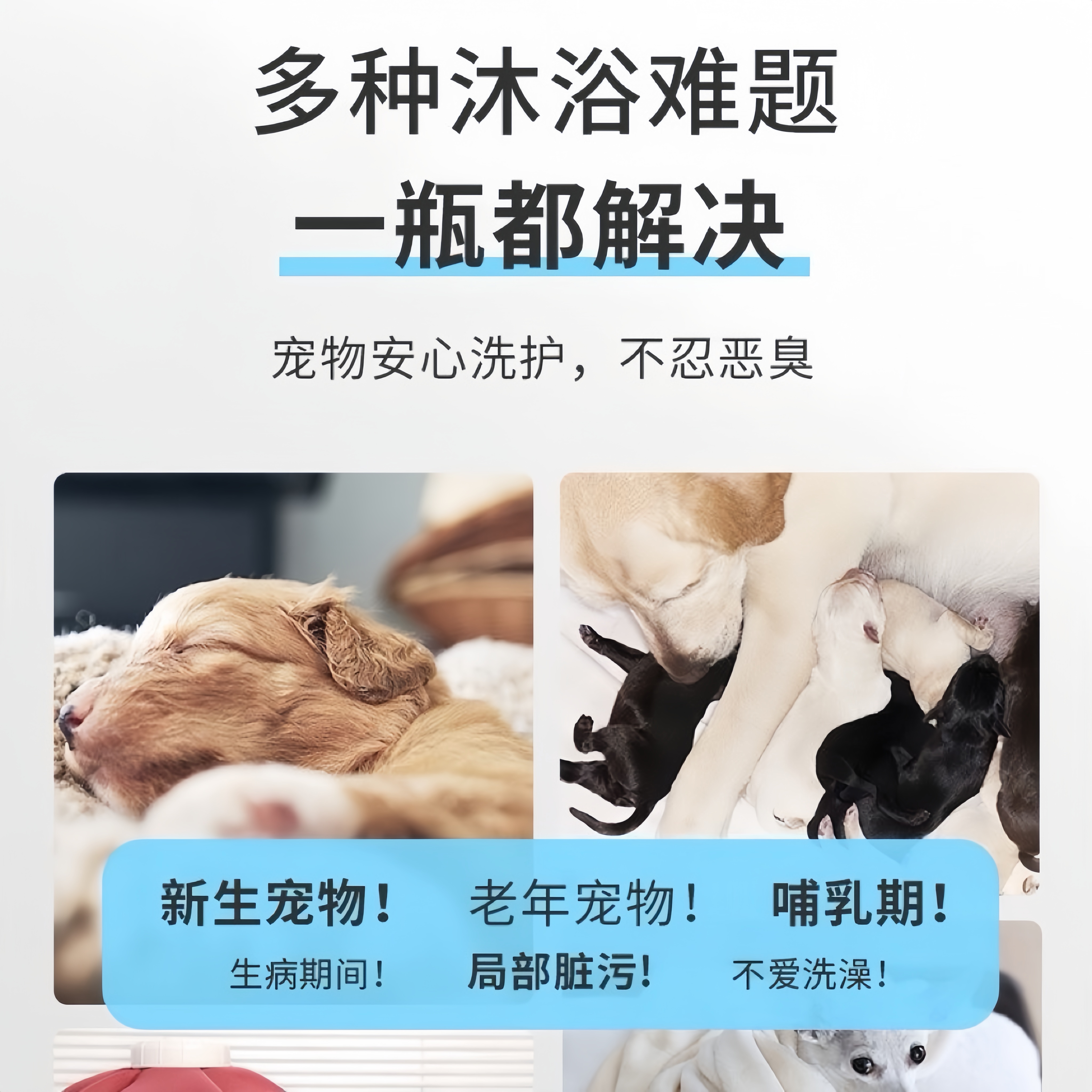 宠物干洗泡沫除臭抑菌持久留香狗狗猫咪洗澡沐浴露泡泡免洗沐浴液 - 图2