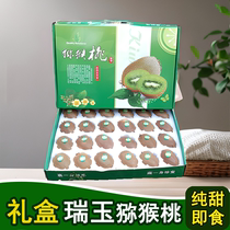 Zhengzong Zhou to Ruiyu kiwi fruit pure sweet and juicy Shaanxi Chipagin Big fruits on par with cuisum hard fruit ready-to-eat gift box