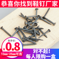 Nail Shoes Nails Wood Board Small Nails Round Head Smelly Leather Nail Autumn Leather Mini Iron Nails Big Head Carpenter Nail Tonic Shoes Small Number