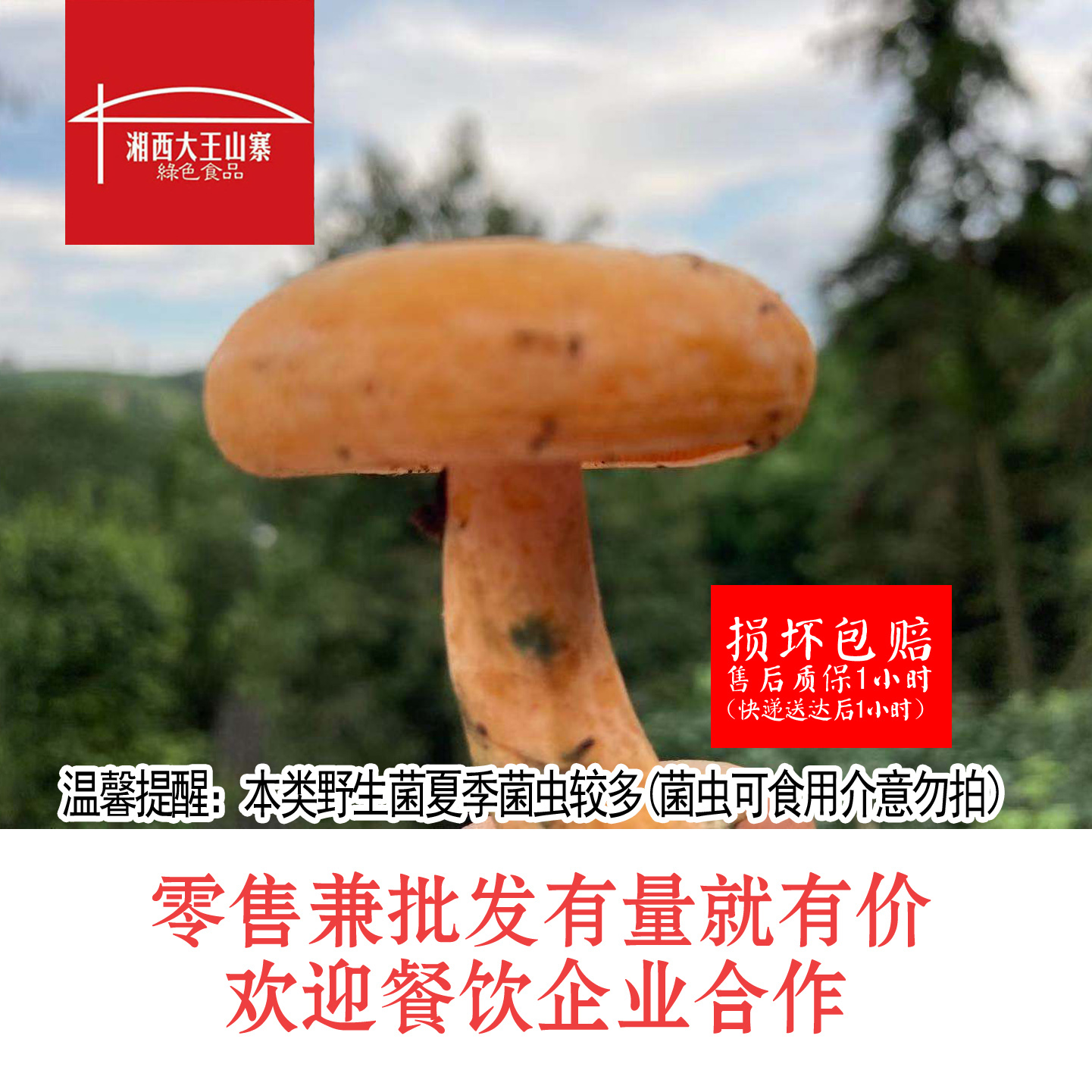 鸡枞菌的魔性吃法，这里有制作全攻略_深圳新闻网