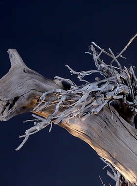 厂家销售手工工艺木质台灯落地灯民宿餐厅咖啡馆朽木树枝装饰灯具