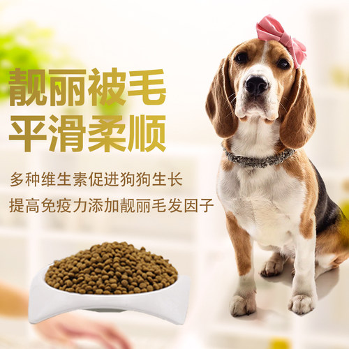 泰迪金毛萨摩阿拉斯加拉布拉多哈士奇贵族犬成幼犬通用型狗粮10kg - 图2