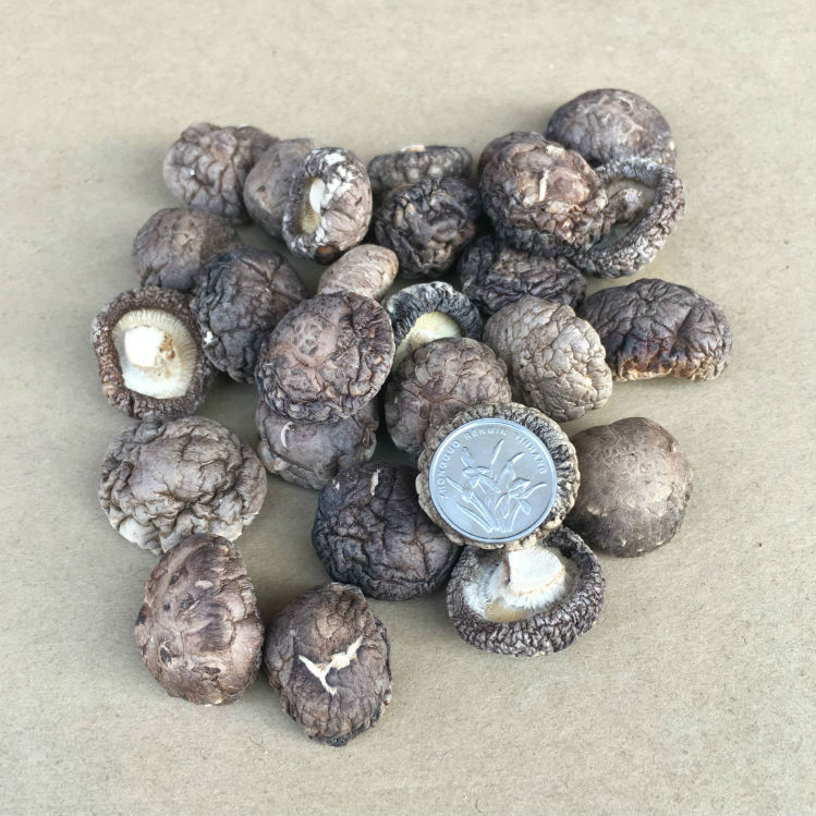 2025年新货香菇干香菇小香菇金钱菇蘑菇香菇干货香菇干货500g一斤,淘宝优惠券,粉丝福利购,淘宝优惠卷