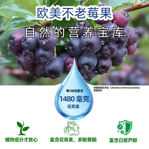 红酒不老莓干红黑果花楸酒13度甜红酒低度果酒低糖国产非葡萄酒女 - 图2