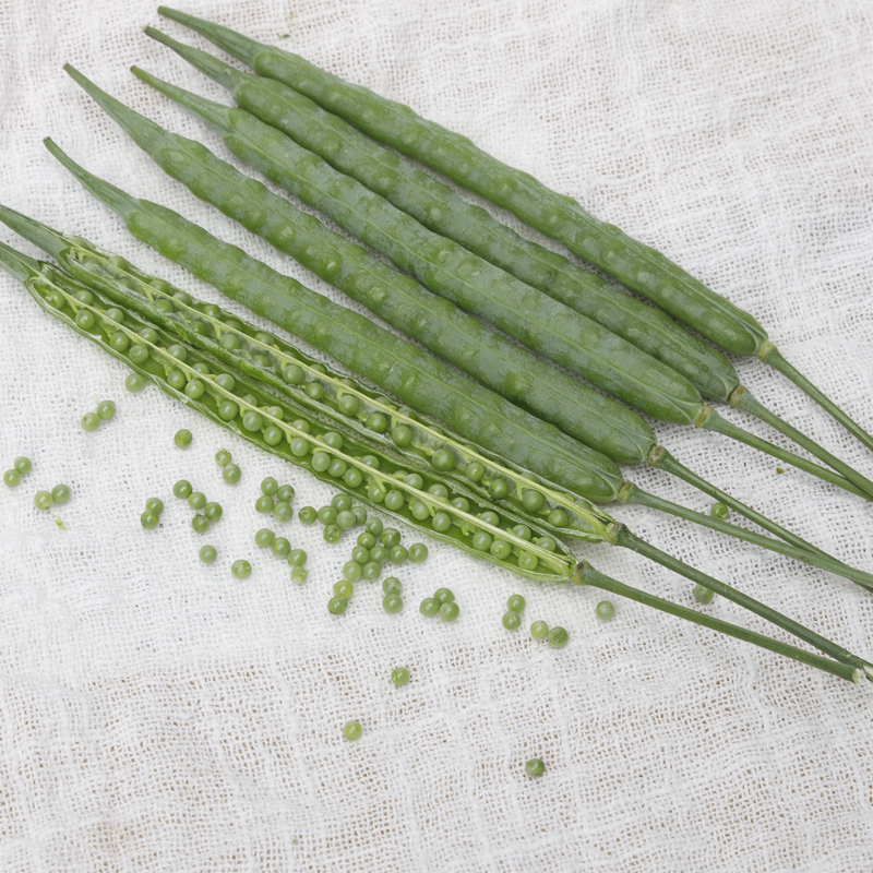 杂交油菜种子正品矮杆高产油菜籽种抗寒抗倒伏早熟榨油油菜花种子 - 图0