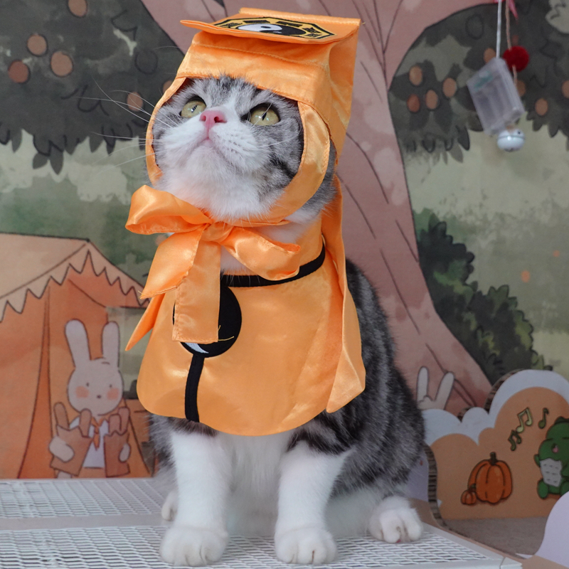 模仿小道士搞怪猫衣服宠物变身猫咪万圣节服饰英短美短猫服装可爱 - 图3