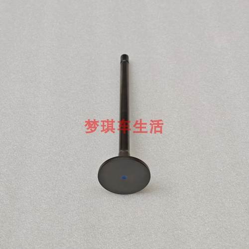 适用于东风康明斯天然气发动机15N排气阀排气门C5669131 - 图0