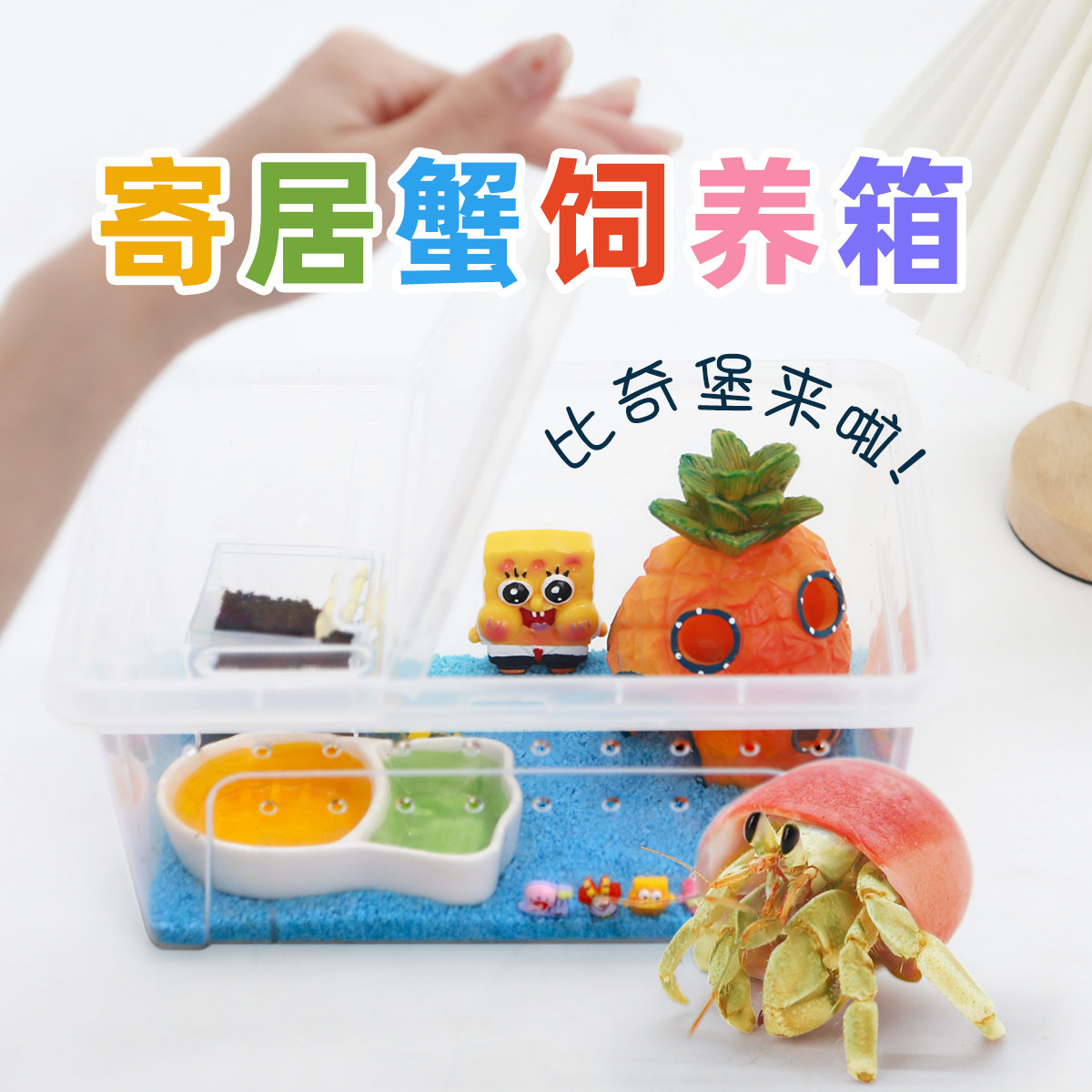 寄居蟹新手饲养箱套餐盒～饲养用品短腕灰白套装桌面宠物儿童礼物,淘宝优惠券,粉丝福利购,淘宝优惠卷