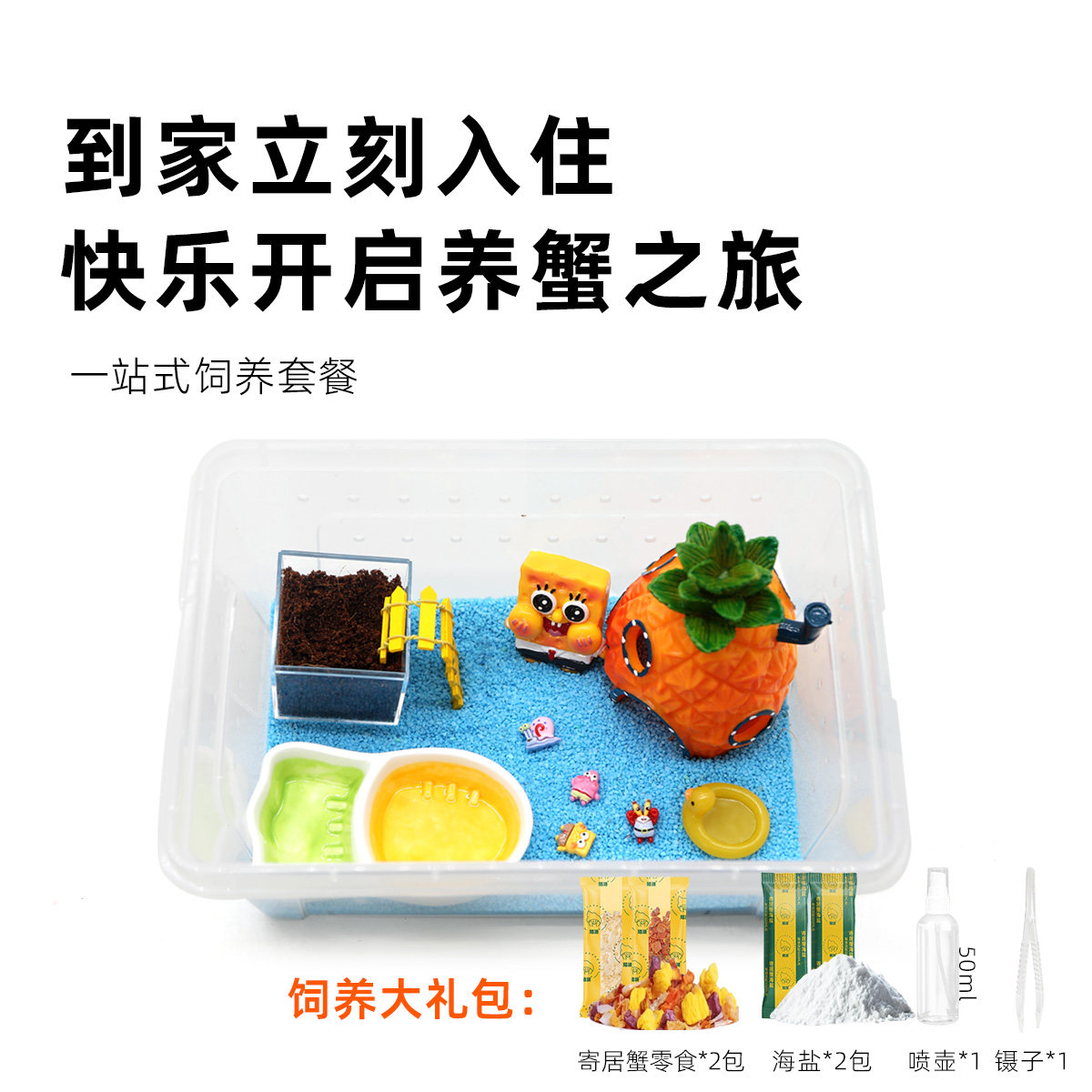 寄居蟹新手饲养箱套餐盒～饲养用品短腕灰白套装桌面宠物儿童礼物,淘宝优惠券,粉丝福利购,淘宝优惠卷