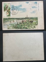 2017-6 spring and summer autumn winter limit slices of summer lotus show water 58 towards the summer of the Flower Edition Micromountain Lake