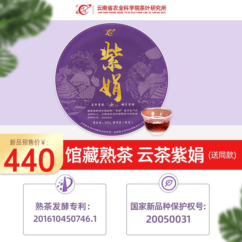 2022年云茶科技普洱茶熟茶饼母本紫娟熟茶云南茶科所研制357g紫鹃 - 图1