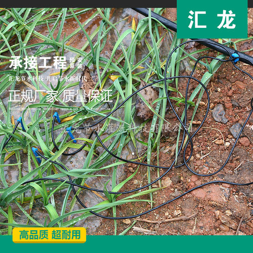 47毛管35毛管811毛管配件直通喷头设备微喷PE管滴箭套装滴灌接头 - 图0