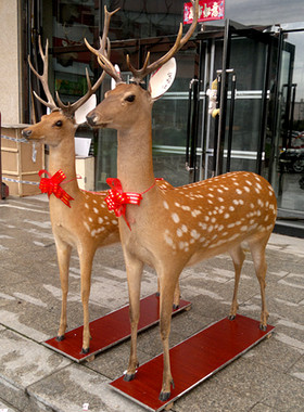 展厅客厅会客室摆件淘鹿皮毛
