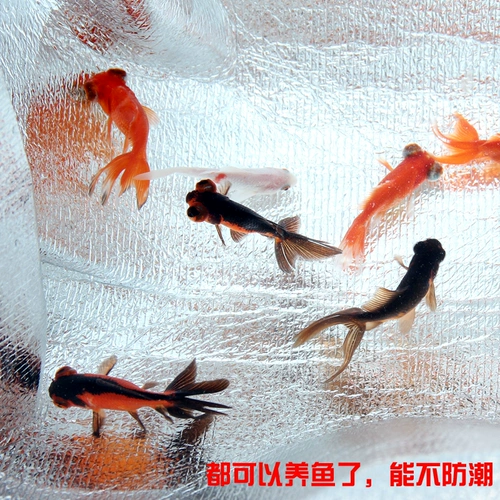 Ширина на открытом воздухе и толстая двойная алюминиевая мембрана дикая портативная влага -защитная подушка 200*150/200*200