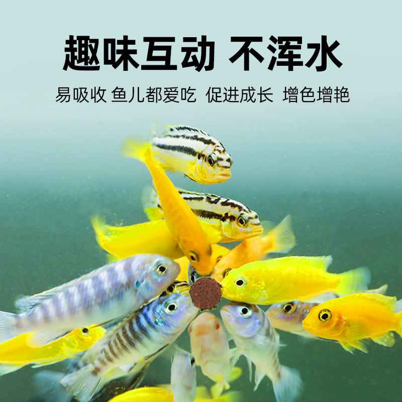 贴片鱼食鱼粮鱼饲料小型鱼孔雀鱼锦鲤鱼金鱼鹦鹉鱼热带观赏鱼饲料_虎窝淘